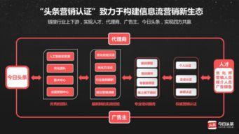 头条职场认证是什么,职场精英的专属标识